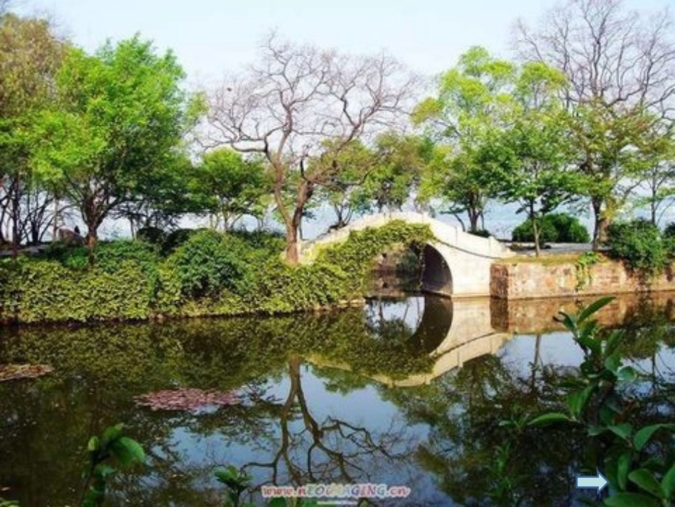 高中英语 Module 4 An Interview with Liu Fang课文课件 外研版选修6 课件_第1页