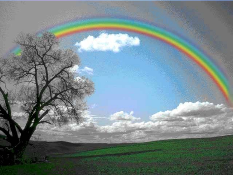 高中数学 第二章 解析几何初步 221 抛物线及其标准方程课件 北师大版必修2 课件_第2页