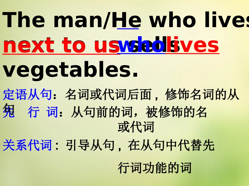 高三英语总复习 定语从句课件(1)新人教版 课件_第3页