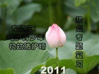 构筑防护墙 课件