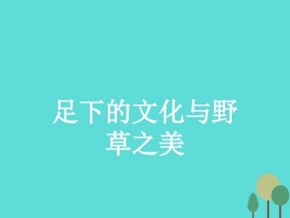 语文1.6足下的文化与野草之美课件苏教版必修5 课件