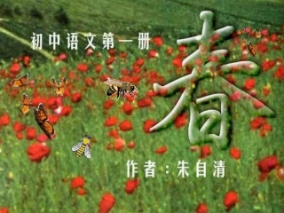 浙江地区语文学科七年级上学期第三单元第十一课(春)课件 人教版 课件