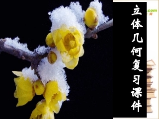 高中数学 必修2立体几何复习课件 新人教A版必修2 课件