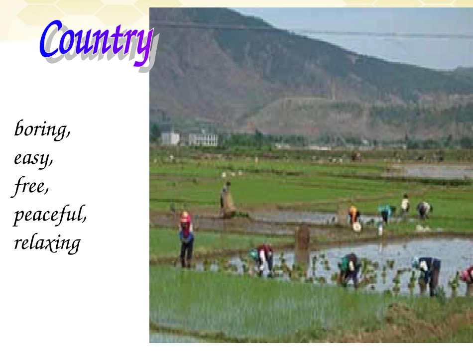 高中英语 Unit 1 lesson 4 City and Country课件 北师大版必修1 课件_第2页