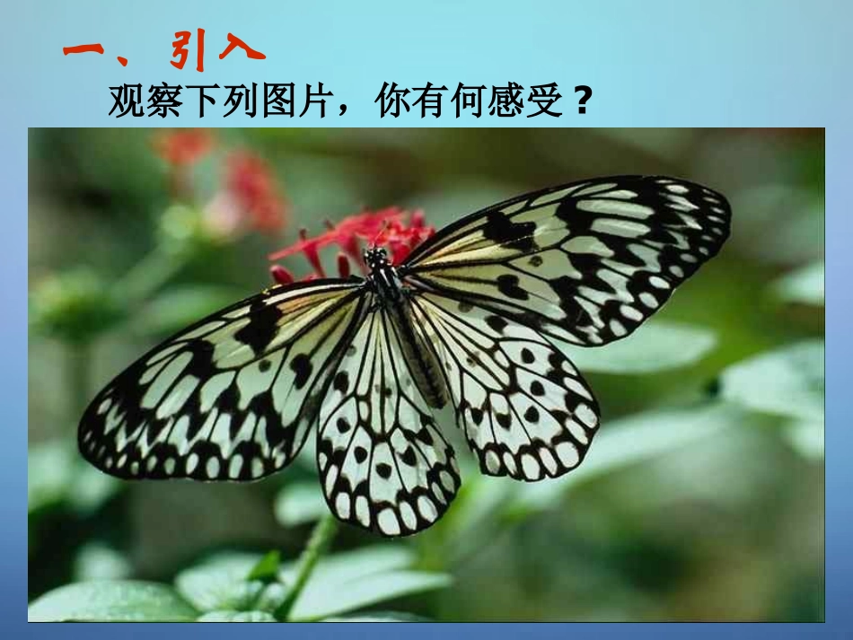 高中数学 1.3.2函数的奇偶性课件 新人教A版必修1 课件_第1页