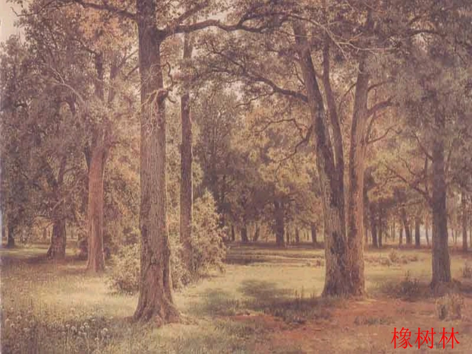 高一语文上第一册3 中国当代诗三首 致橡树为您服务教育网2课件人教版 课件_第2页