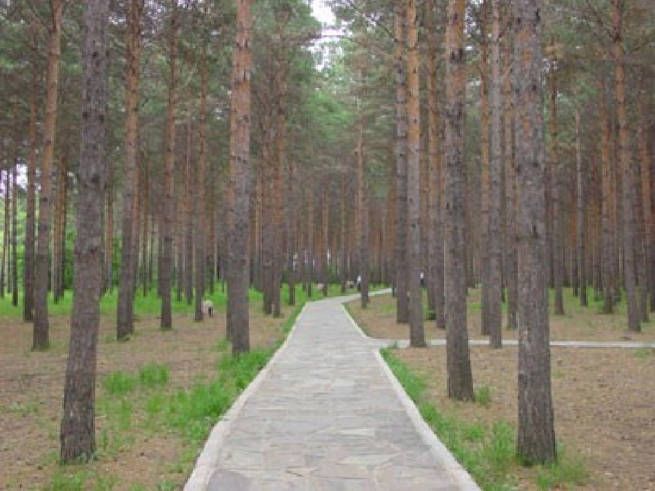 高一语文上第一册3 中国当代诗三首 致橡树为您服务教育网2课件人教版 课件_第3页