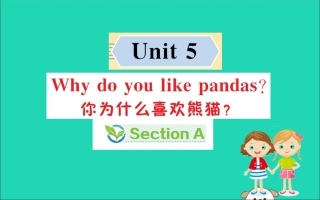 版七年级英语下册 Unit 5 Why do you like pandas Section A训练课件 (新版)人教新目标版 课件