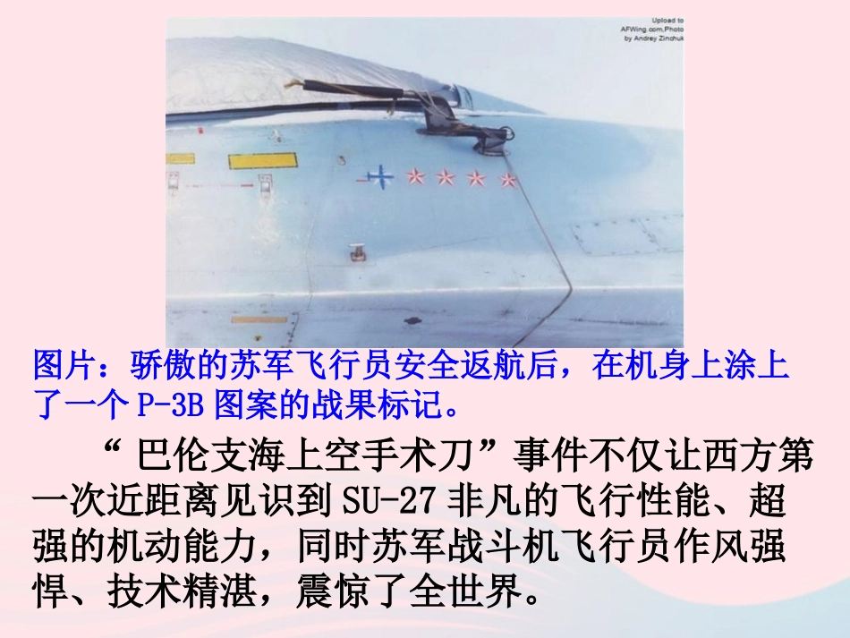 维护国家权益，从来就是鲜血和生命铸就素材 八年级道德与法治上册 第四单元 维护国家利益素材 新人教版 八年级道德与法治上册 第四单元 维护国家利益素材 新人教版_第3页