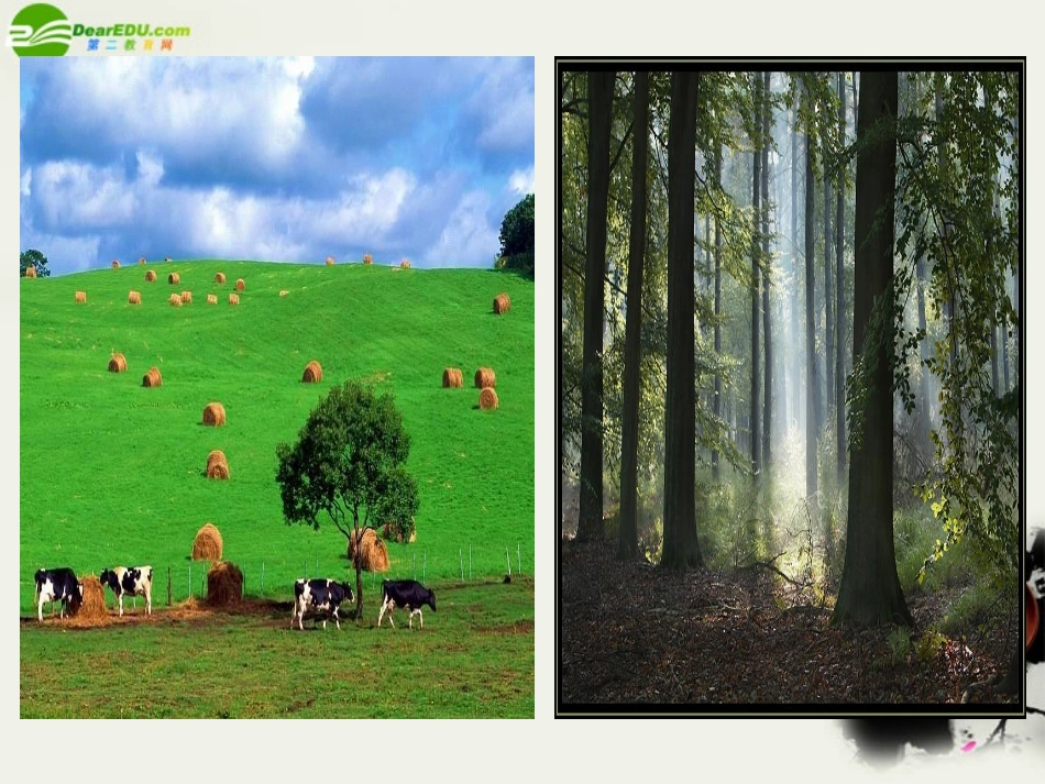 高中英语 Module4(Sandstorms in Asia)课件3 外研版必修3 课件_第2页