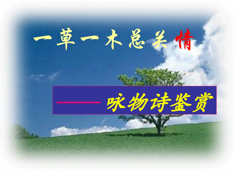 高三语文  一草一木总关情——咏物诗鉴赏 课件_第1页