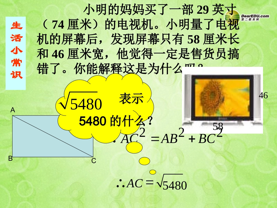 浙江省泰顺县罗阳二中八年级数学下册 1.1 二次根式课件 浙教版 课件_第1页