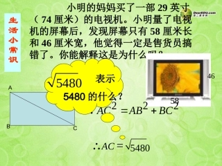 浙江省泰顺县罗阳二中八年级数学下册 1.1 二次根式课件 浙教版 课件