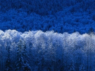 高中数学函数零点区公开课课件人教版必修一 课件