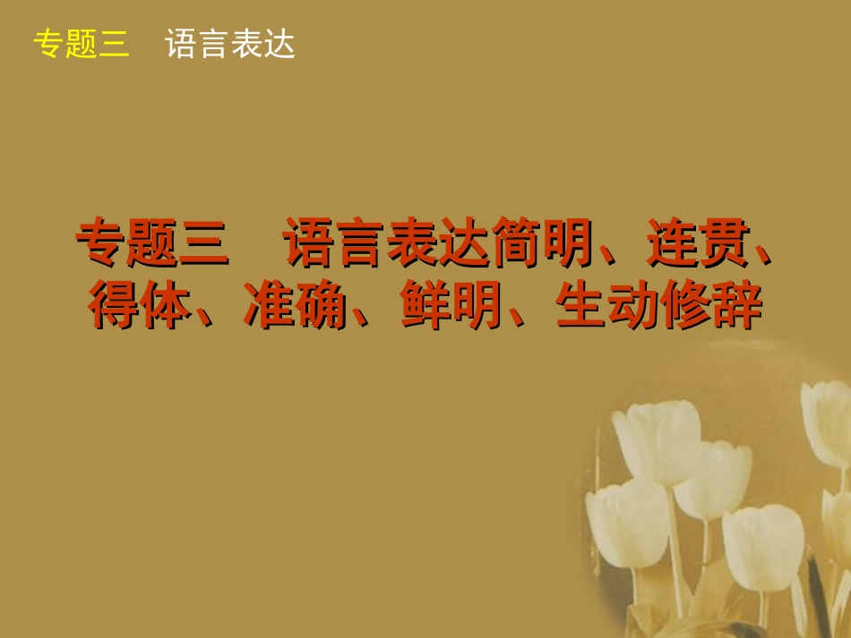 高三语文二轮专题复习 专题三 语言表达简明、连贯、得体、准确、鲜明、生动精品课件 新课标版 课件_第2页