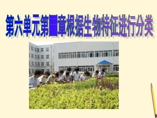 江西省萍乡四中八年级生物上册 第六单元第一章根据生物的特征进行分类尝试对生物进行分类课件