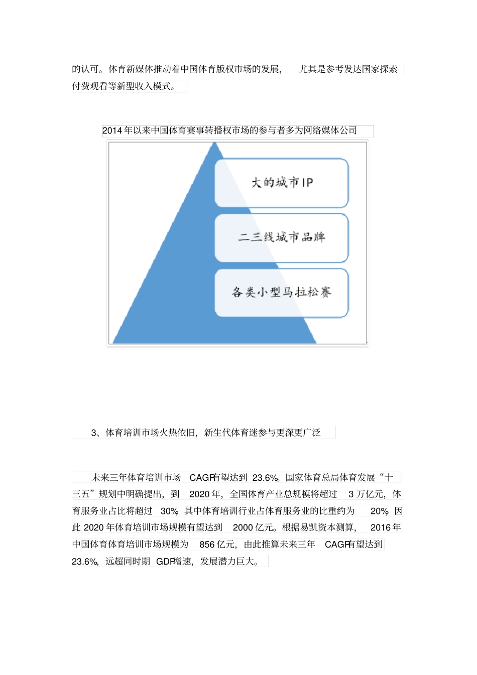 体育行业场深度调查及未来发展分析_第3页