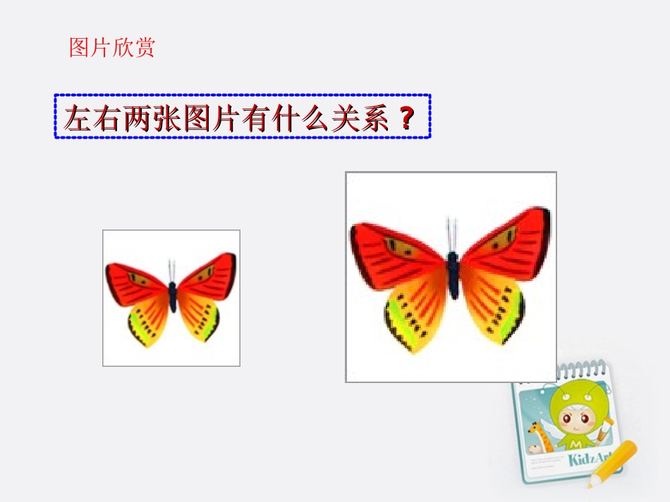 高中数学 图形的相似课件 苏教版必修3 课件_第3页