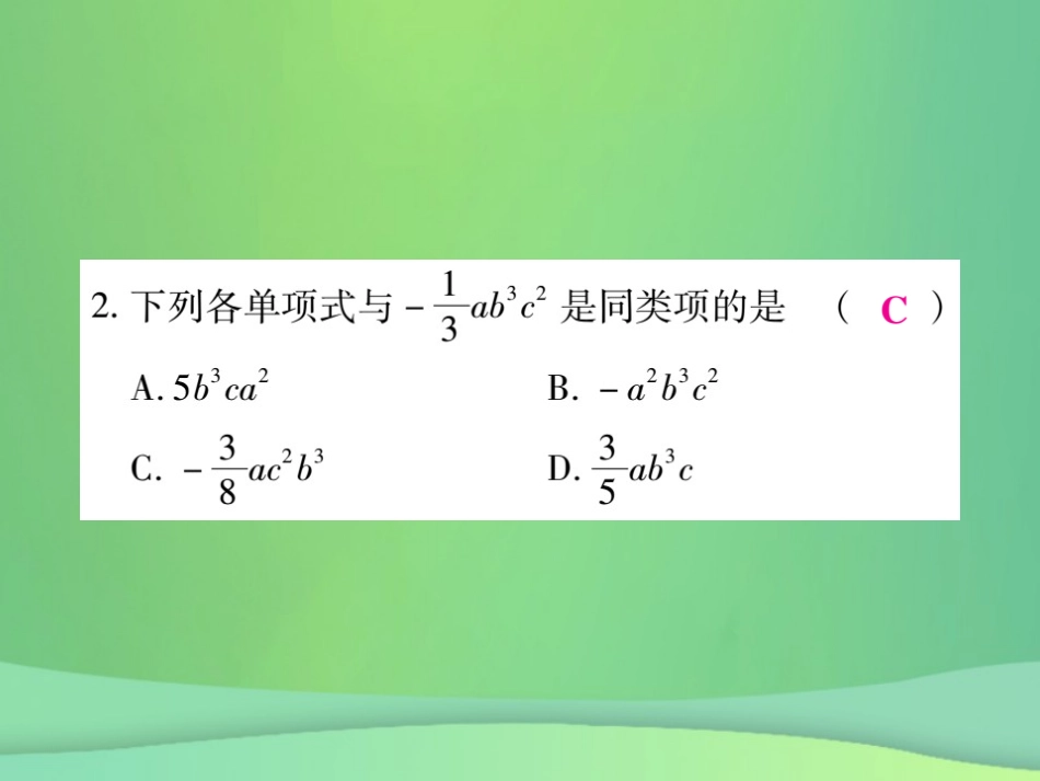 秋七年级数学上册 第3章 整式的加减 3.4 整式的加减 3.4.1 同类项练习课件 (新版)华东师大版 课件_第3页