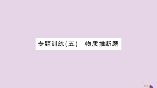 湖北省中考化学一轮复习 专题训练(五)物质推断题课件