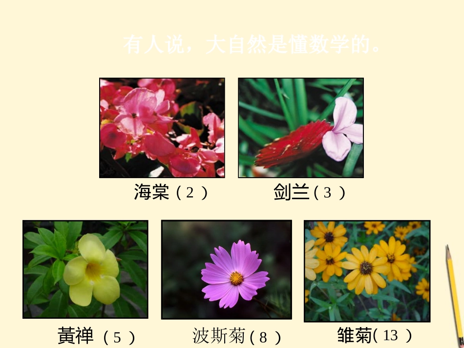 高中数学 2.1 数列的概念与简单表示法课件2 新人教A版必修5 课件_第2页