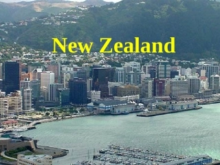 高一英语Unit18 integrating skills课件 新课标 人教版 课件