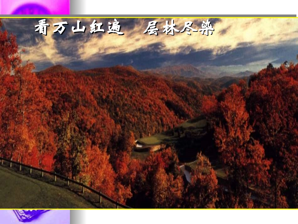 高一语文：12(故都的秋)课件旧人教版 课件_第2页