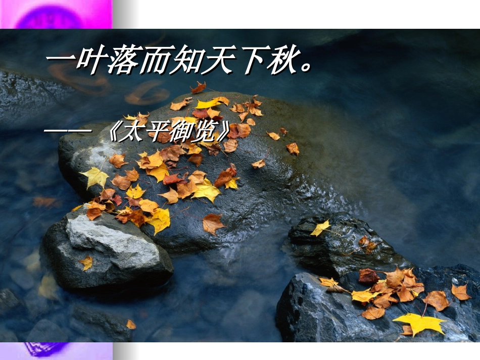 高一语文：12(故都的秋)课件旧人教版 课件_第3页