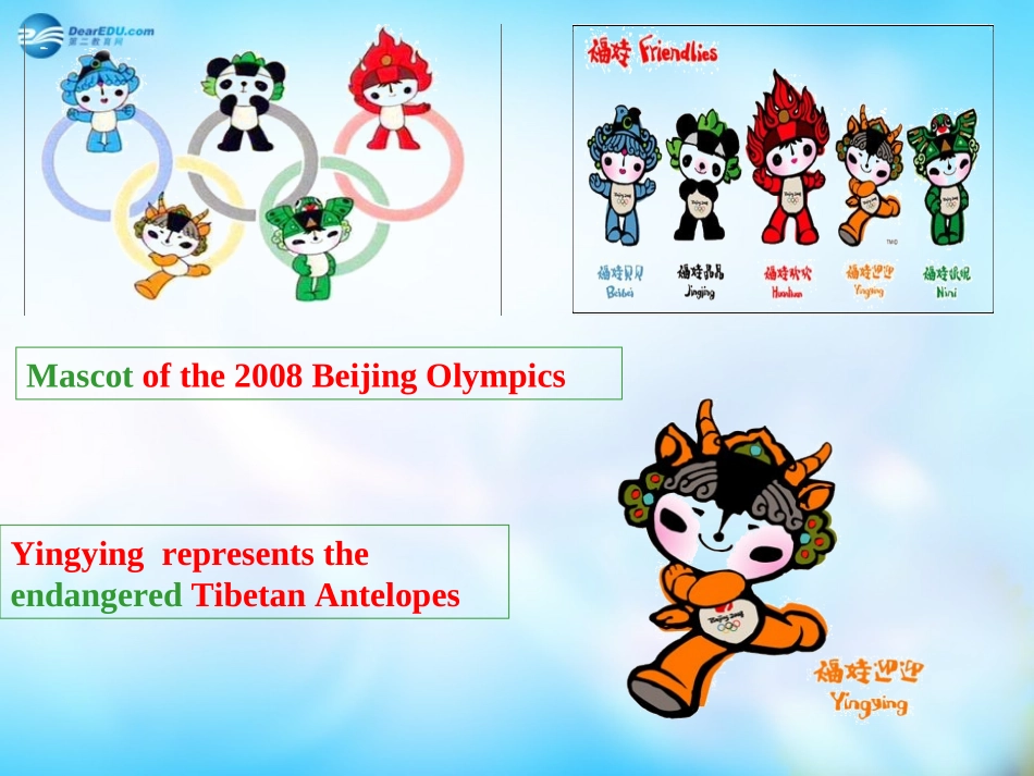 高中英语 Reading复习课件2 外研版必修5 课件_第2页