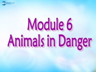 高中英语 Reading复习课件2 外研版必修5 课件