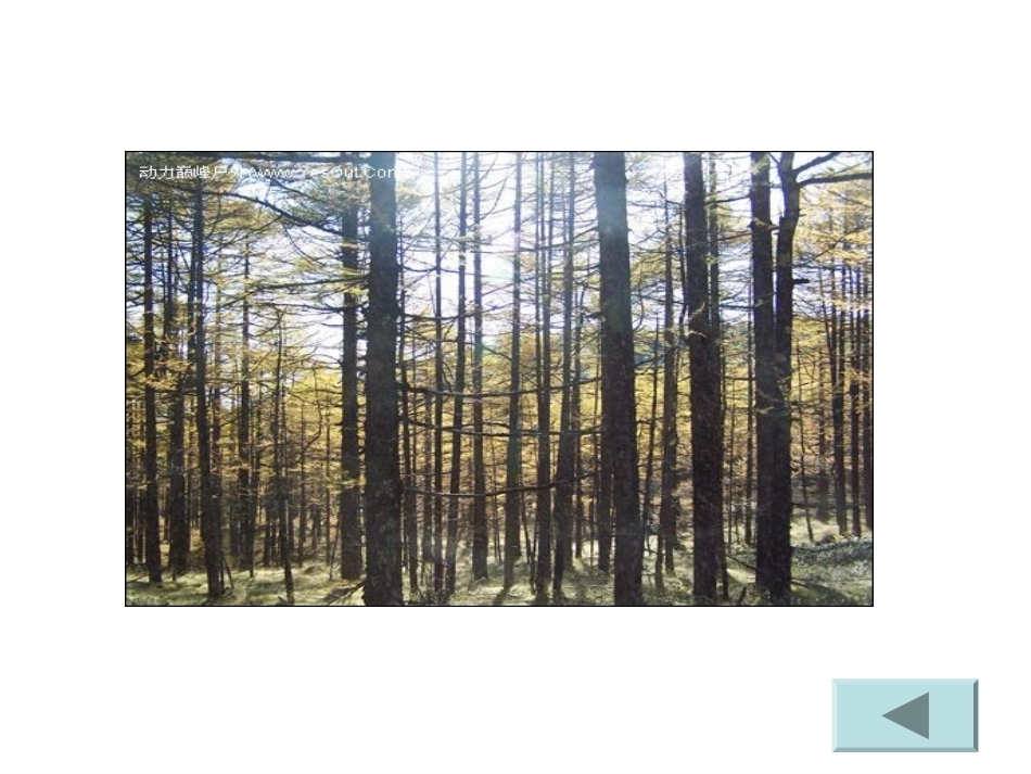 选修4-2(投影变换) 课件_第3页