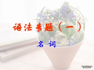 高三英语语法专题 名词 新课标 课件