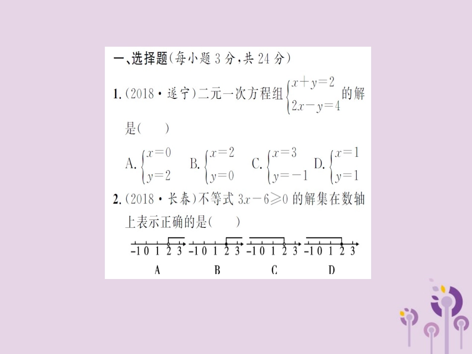 湖北省中考数学 专项测试(二)方程(组)与不等式(组)习题练课件_第2页