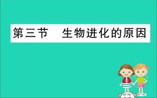 版八年级生物下册 第七单元 生物圈中生命的延续和发展 第三章 生命起源和生物进化 3 生物进化的原因训练课件 (新版)新人教版 课件