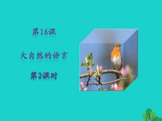 秋八年级语文上册 第四单元 第16课(大自然的语言)(第2课时)课件 新人教版 课件