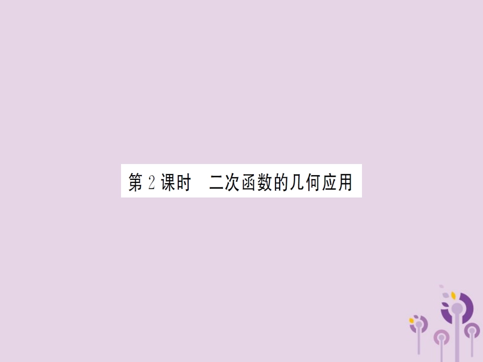 湖北省中考数学一轮复习 第三章 函数及其图象 第五节 二次函数的综合应用 第2课时 二次函数的几何应用(习题提升)课件_第1页