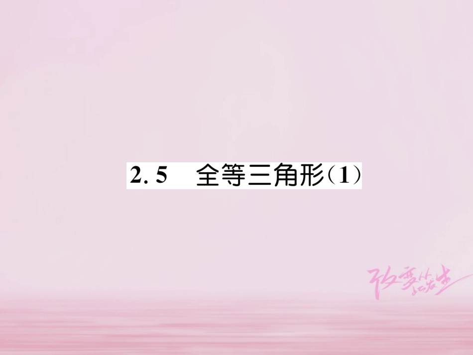 秋八年级数学上册 第2章 三角形 2.5 全等三角形(1)练习课件 (新版)湘教版 课件_第1页