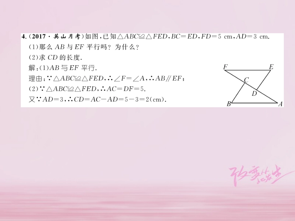 秋八年级数学上册 第2章 三角形 2.5 全等三角形(1)练习课件 (新版)湘教版 课件_第3页