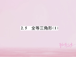 秋八年级数学上册 第2章 三角形 2.5 全等三角形(1)练习课件 (新版)湘教版 课件