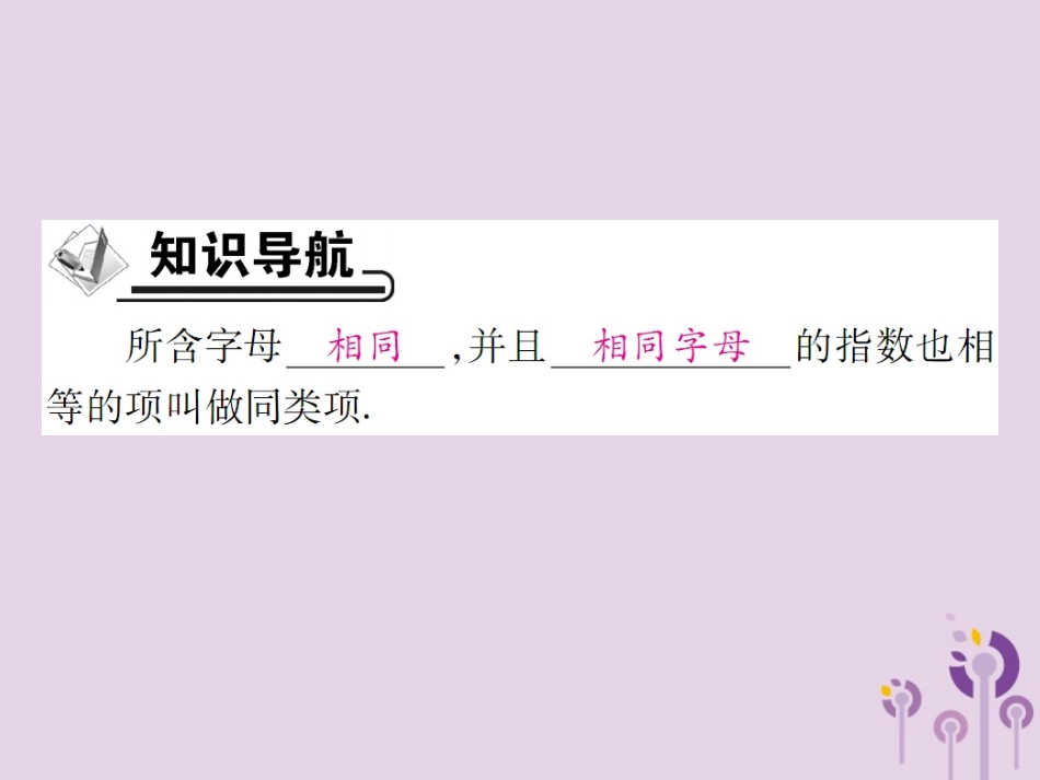 秋七年级数学上册 第3章 整式的加减 3.4 整式的加减 3.4.1 同类项课件 (新版)华东师大版 课件_第2页
