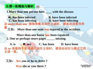 高三英语复习 主谓一致精练与解析 新课标 人教版 课件