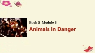 版高考英语一轮复习 Module 6 Animals in Danger课件 外研版必修5 课件