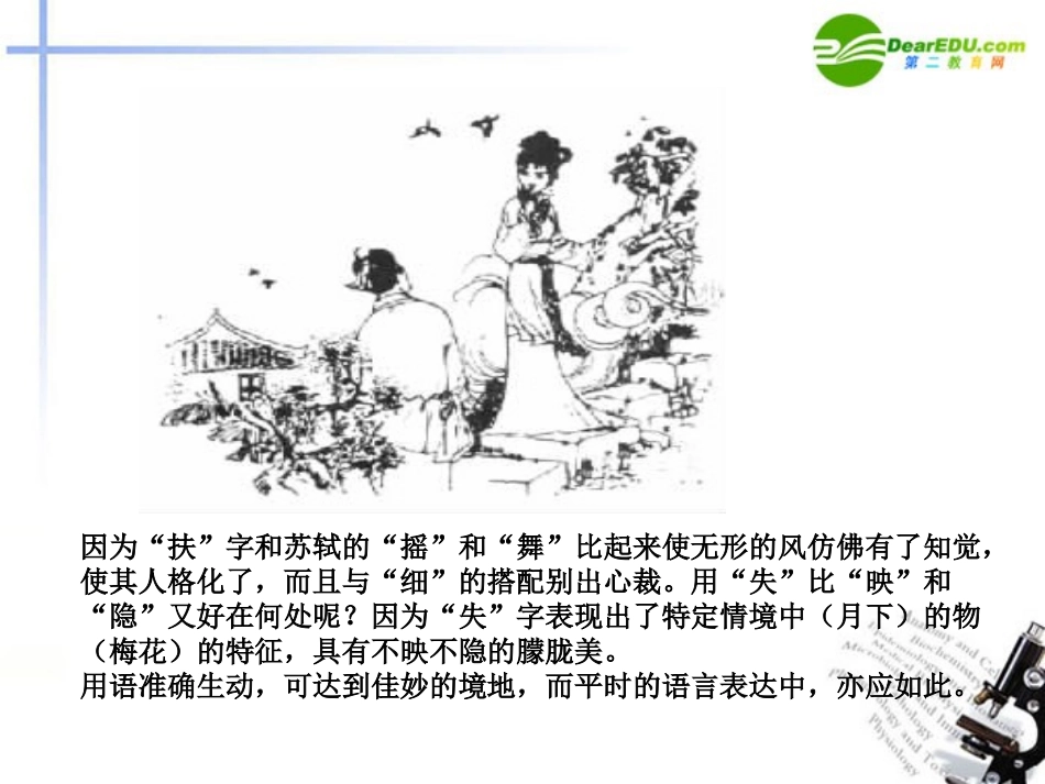 高三语文二轮 专题十 语言表达准确 鲜明 生动精品课件 新人教版 课件_第3页