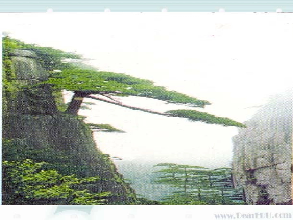 石缝间的生命九年级语文课件 语文版 课件_第3页