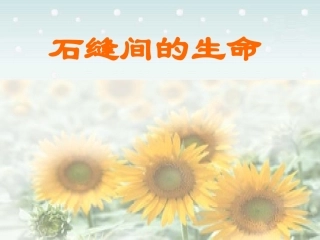 石缝间的生命九年级语文课件 语文版 课件