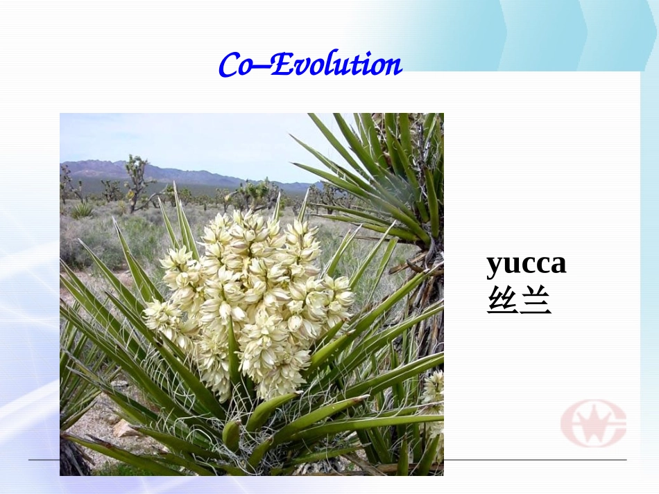 高中英语 Exploring plants-Reading task课件 新人教版选修9 课件_第2页