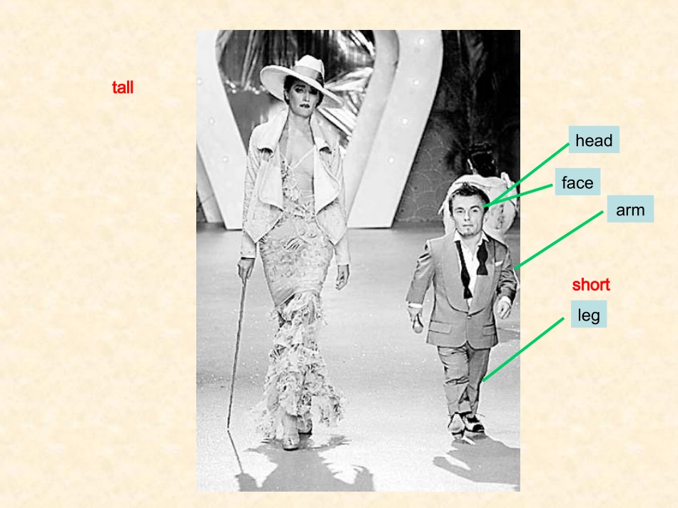 湘教版七年级英语上册Unit 2 Looking Different(ppt)(3) 课件_第3页