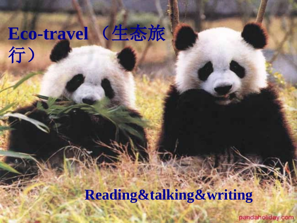 浙江温州地区高一英语unit3 人教版 课件_第1页