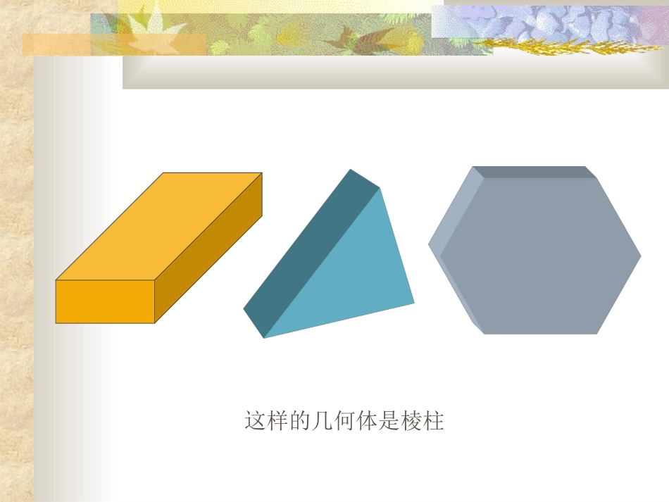棱柱ppt 立体几何课件—棱柱 (人教版) 立体几何课件—棱柱 (人教版)_第3页
