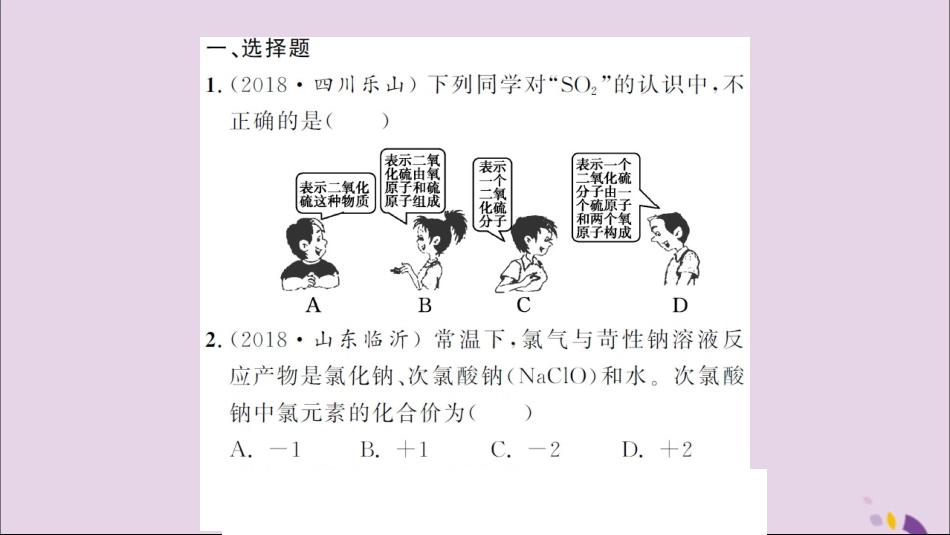 湖北省中考化学一轮复习 课后训练八 化学式与化合价习题课件_第2页